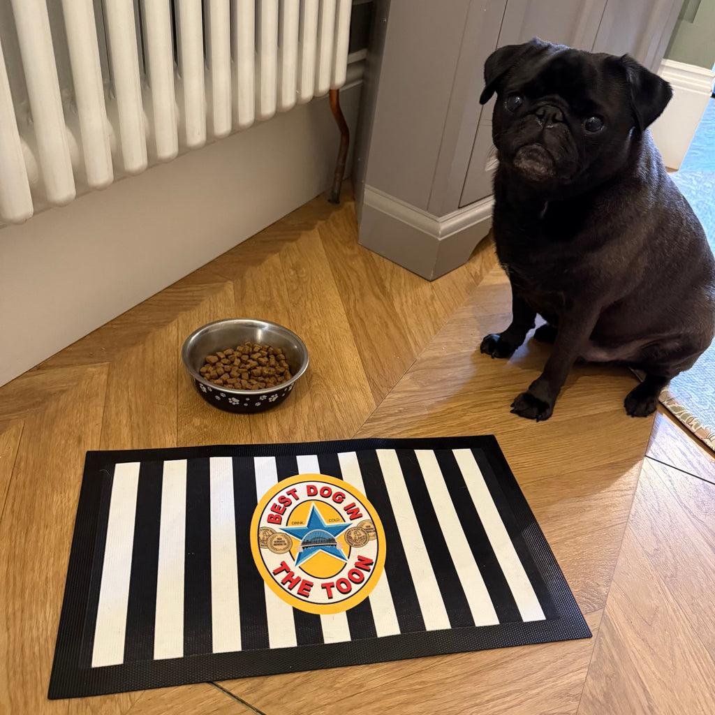 Best Dog in the Toon Personalised Pet Bowl Mat