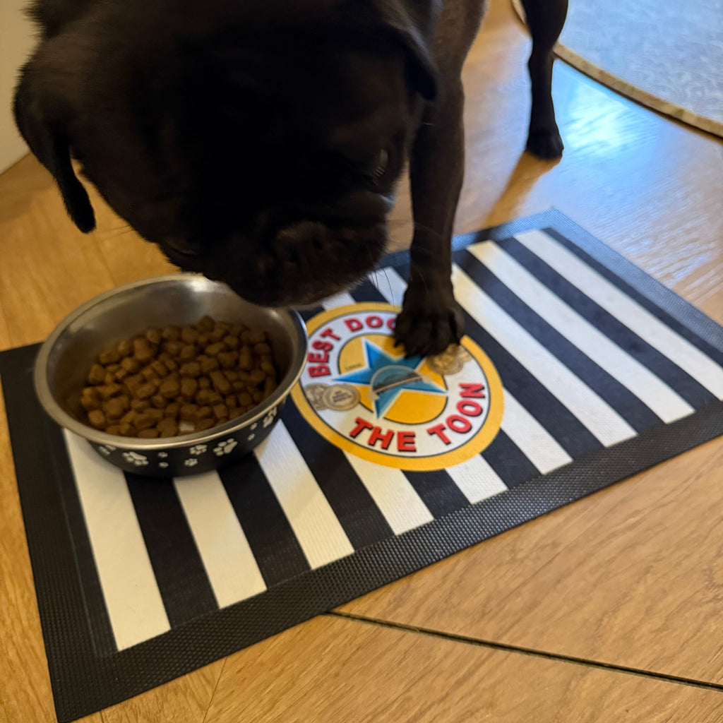 Best Dog in the Toon Personalised Pet Bowl Mat