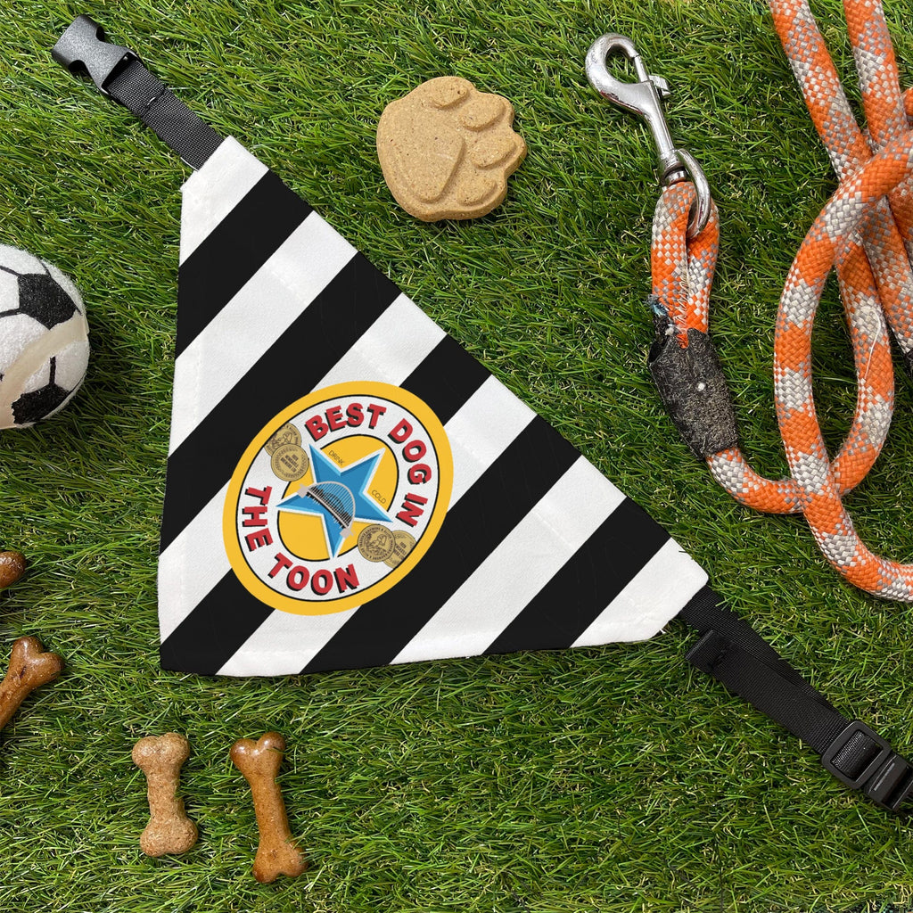 Best Dog In The Toon Dog Bandana | Brown Ale | Cute Dog Collar Girl Boy Dog Accessories | Adjustable Puppy Bandana Dog Necktie